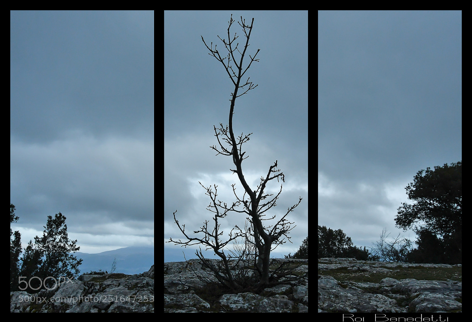 Nikon D500 sample photo. Trittico photography