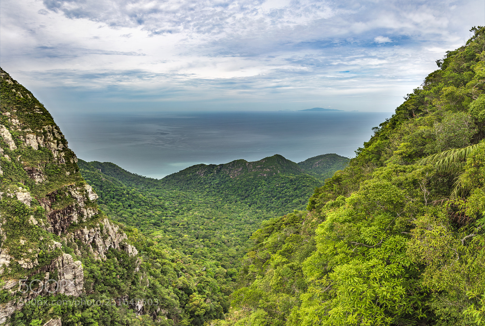Nikon D810 sample photo. Forest with a view photography
