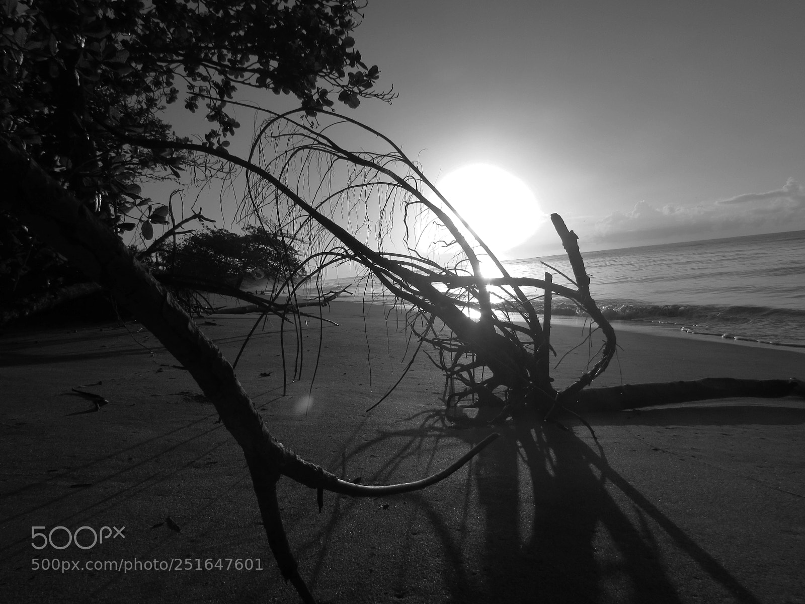 Canon PowerShot SX510 HS sample photo. Raio de sol photography