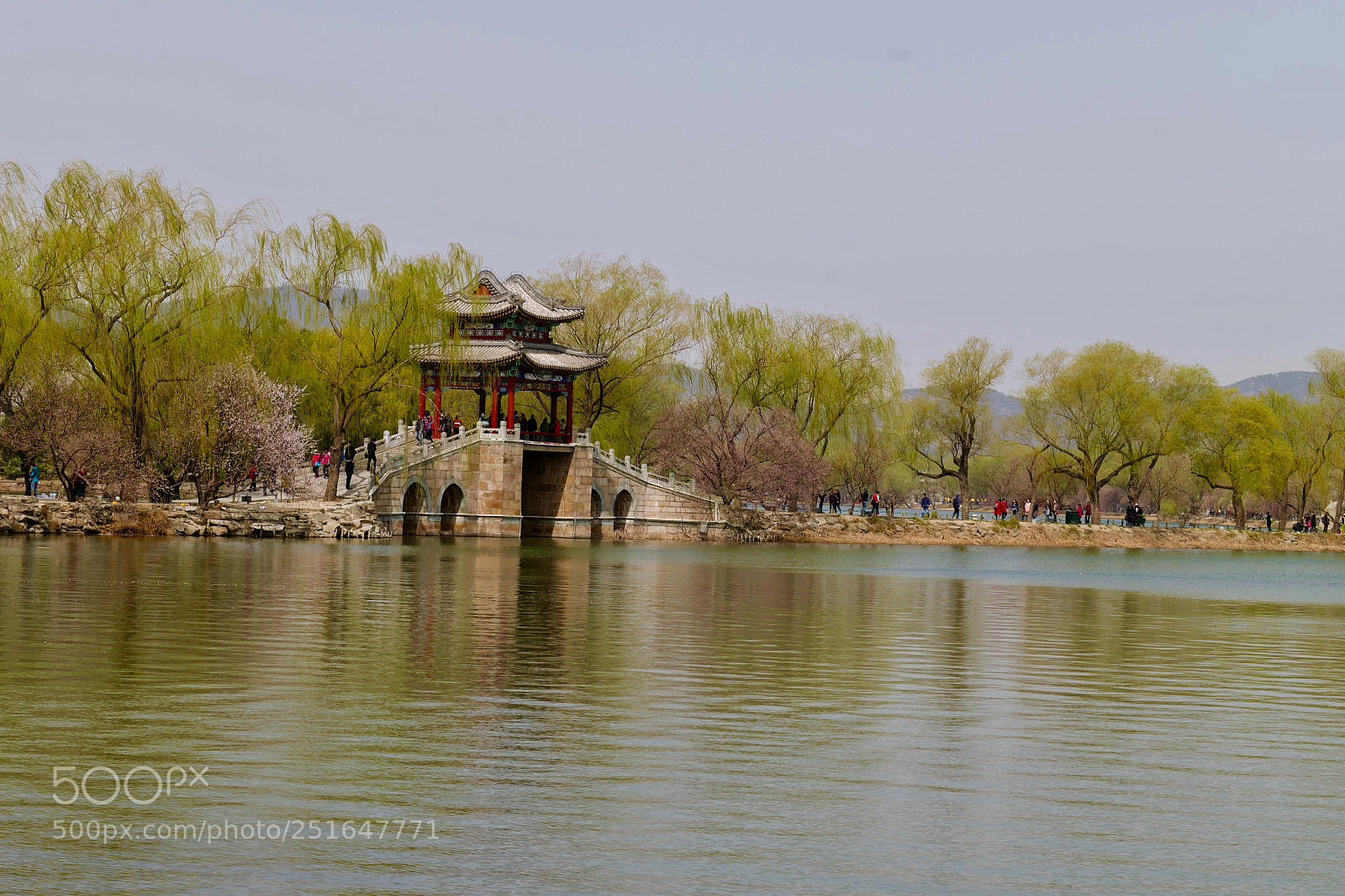 Leica SL (Typ 601) sample photo. Untitled photography