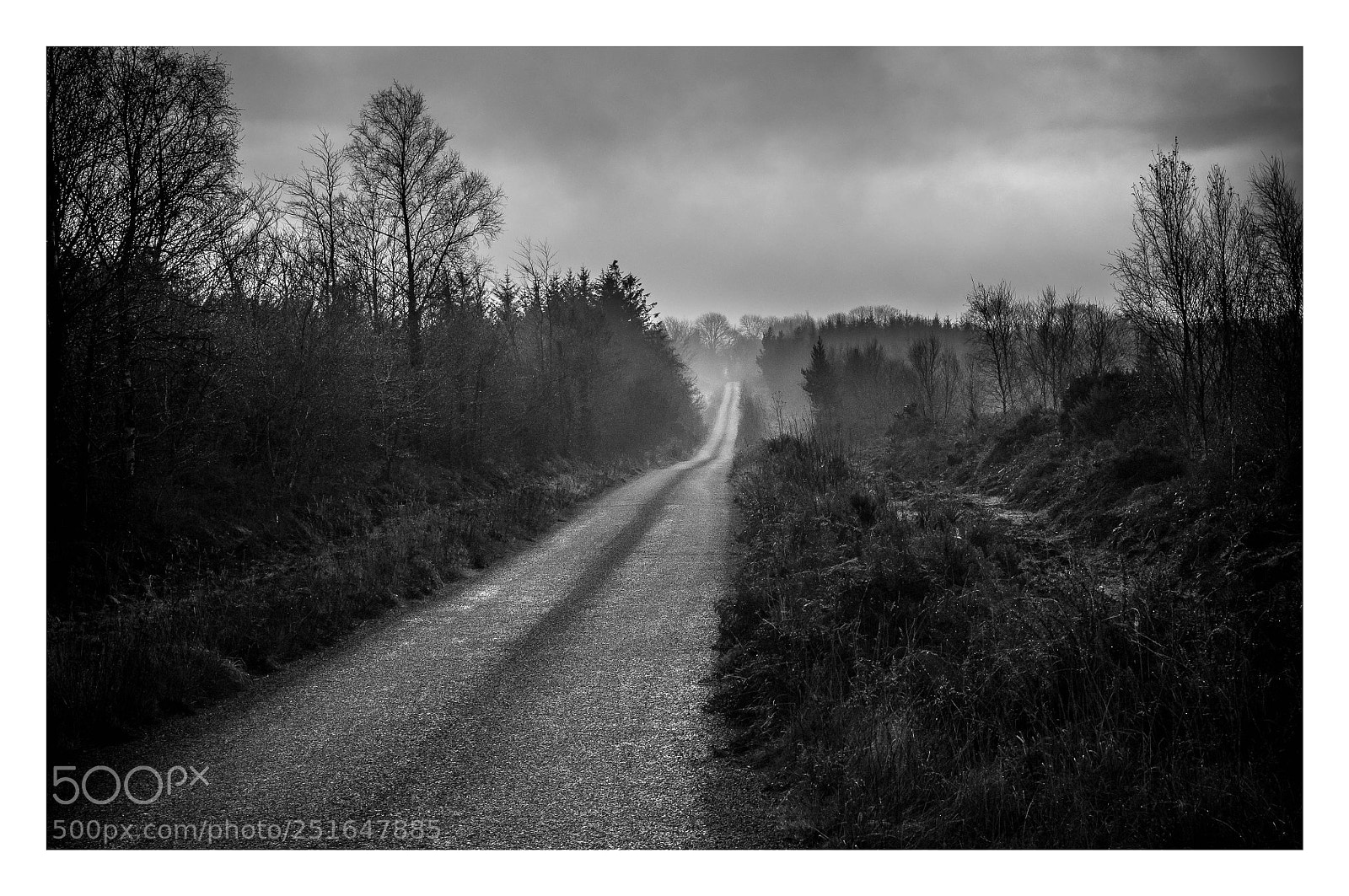 Nikon D300 sample photo. Ballyhoura photography