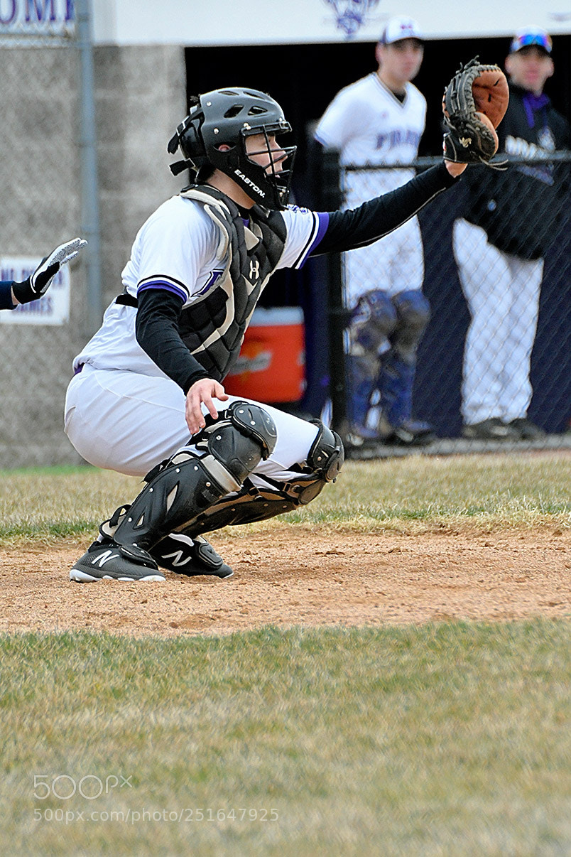 Nikon D500 sample photo. 3-26_0289.jpg photography