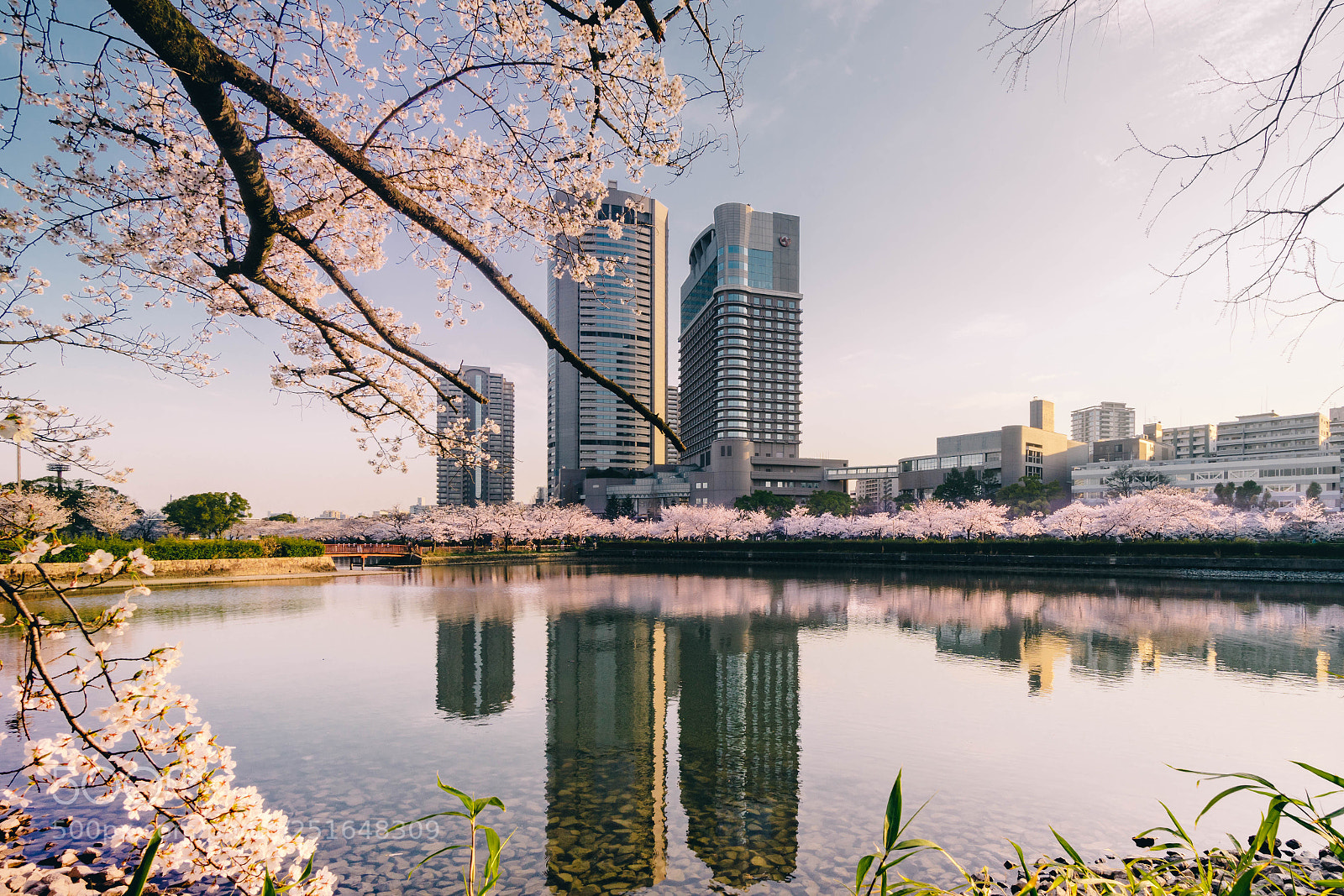Sony a6300 sample photo. Osaka city spring photography
