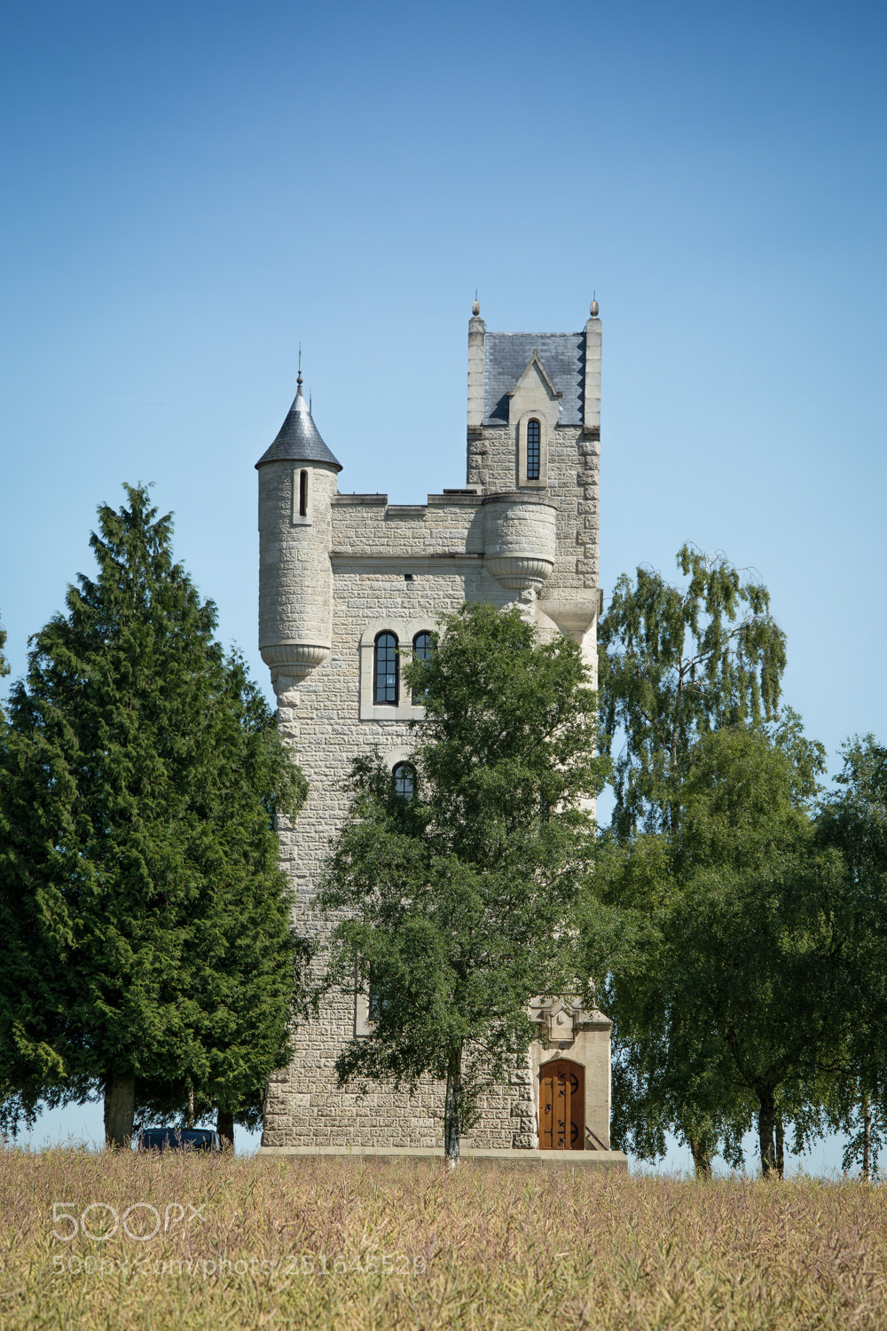 Nikon D5200 sample photo. Ulster tower photography