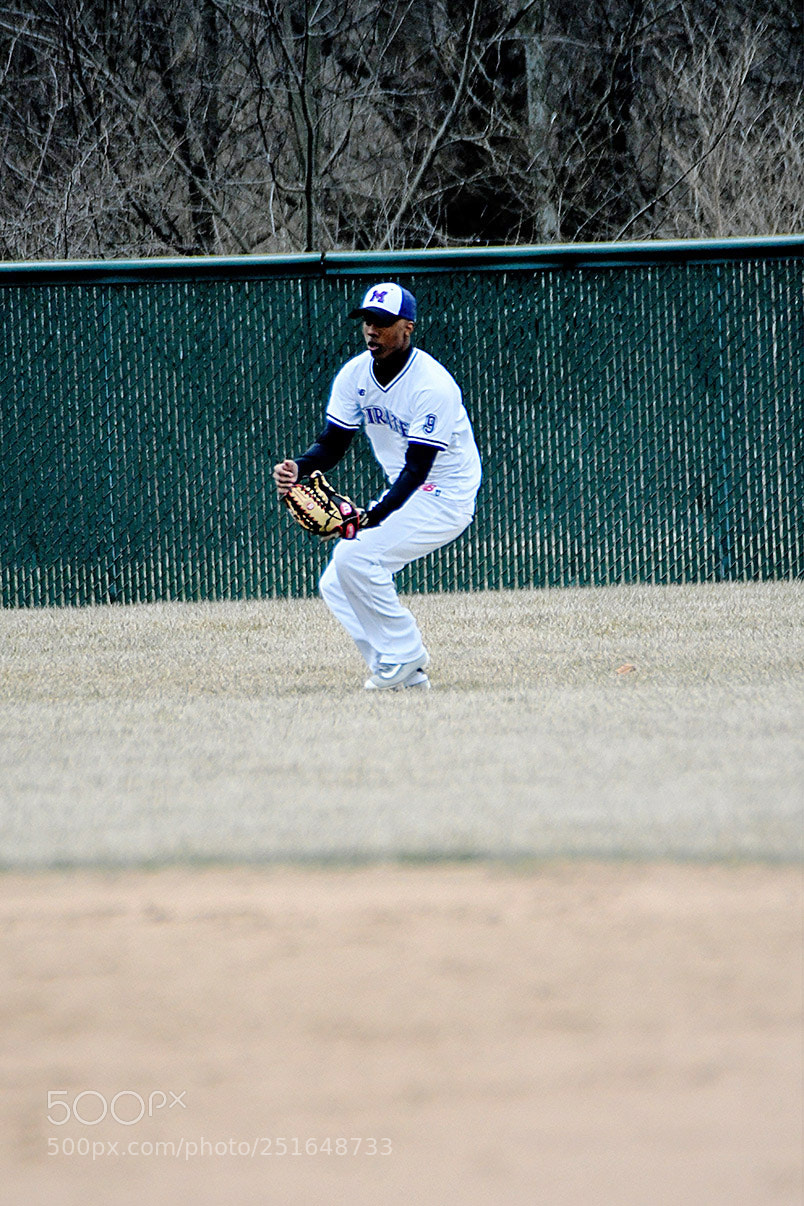 Nikon D500 sample photo. 3-26_0300.jpg photography