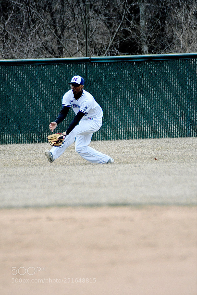 Nikon D500 sample photo. 3-26_0301.jpg photography