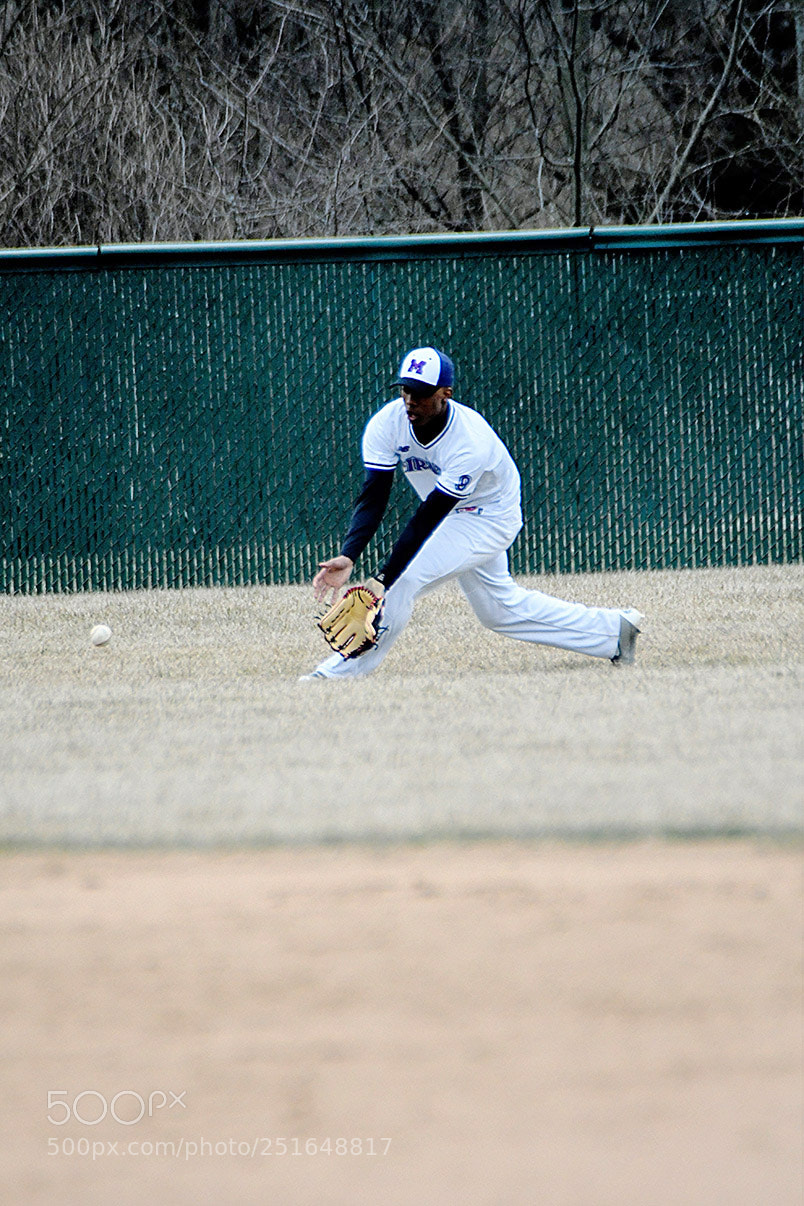 Nikon D500 sample photo. 3-26_0302.jpg photography