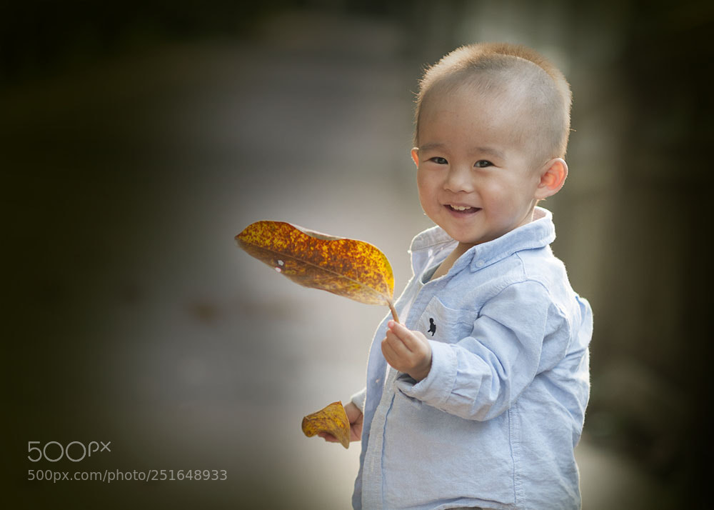 Nikon D300 sample photo. Little boy photography