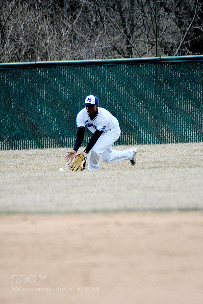 Nikon D500 sample photo. 3-26_0303.jpg photography