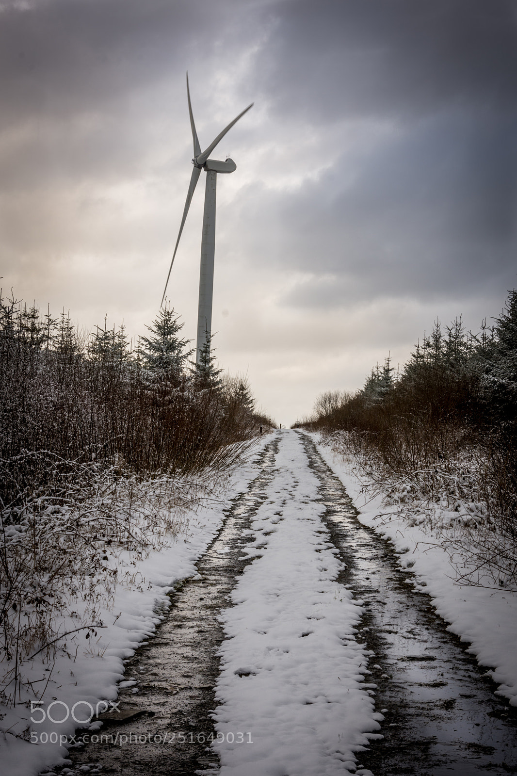 Nikon D7200 sample photo. Wind turbine in the photography