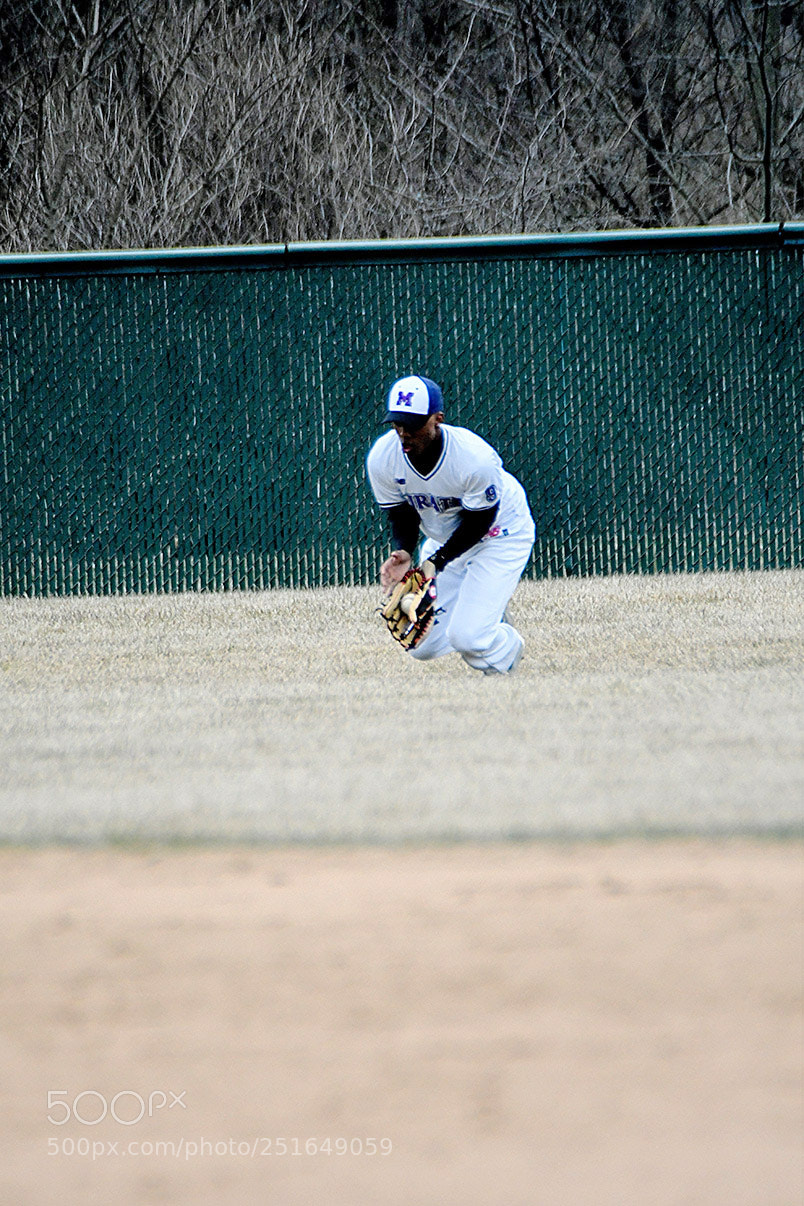 Nikon D500 sample photo. 3-26_0304.jpg photography