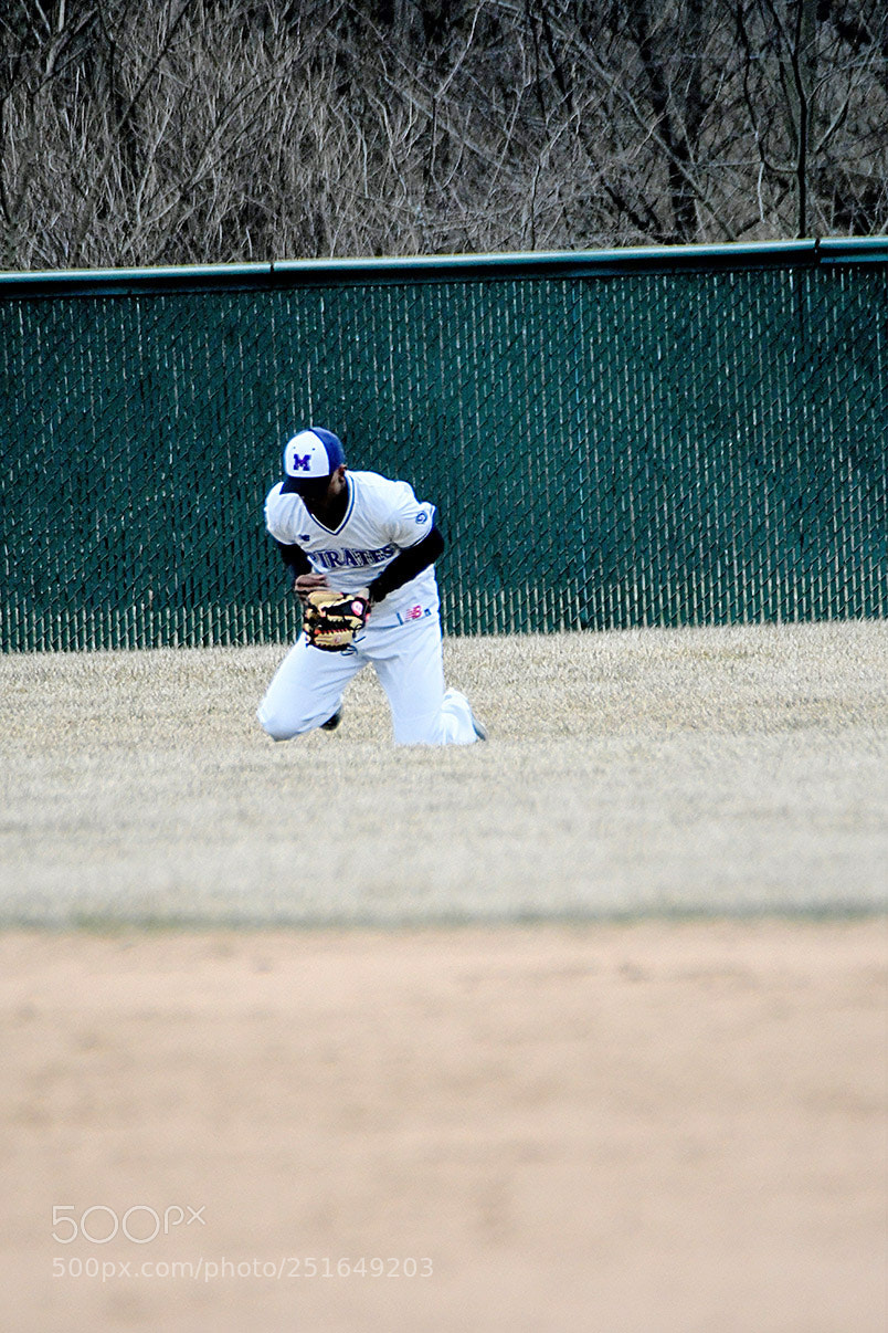 Nikon D500 sample photo. 3-26_0305.jpg photography