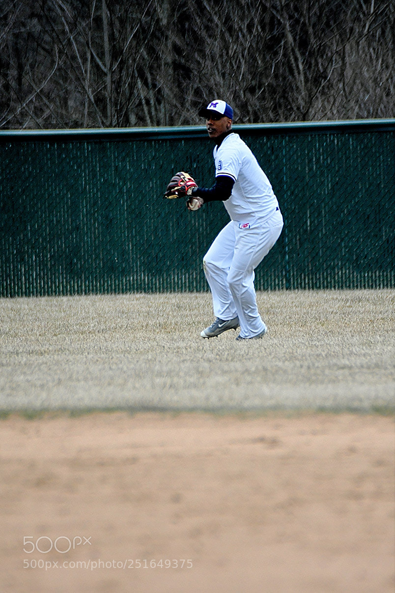 Nikon D500 sample photo. 3-26_0306.jpg photography