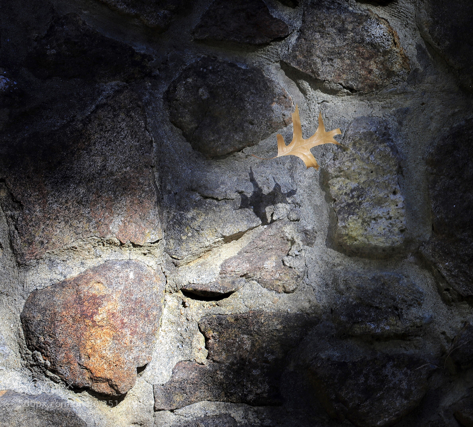 Canon EOS 5DS R sample photo. Floating shadow photography