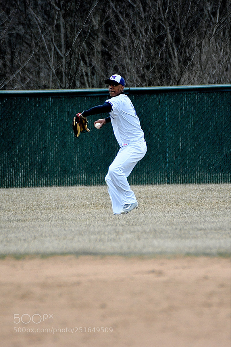 Nikon D500 sample photo. 3-26_0308.jpg photography