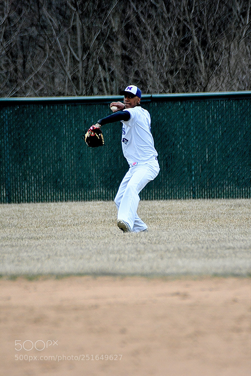 Nikon D500 sample photo. 3-26_0309.jpg photography
