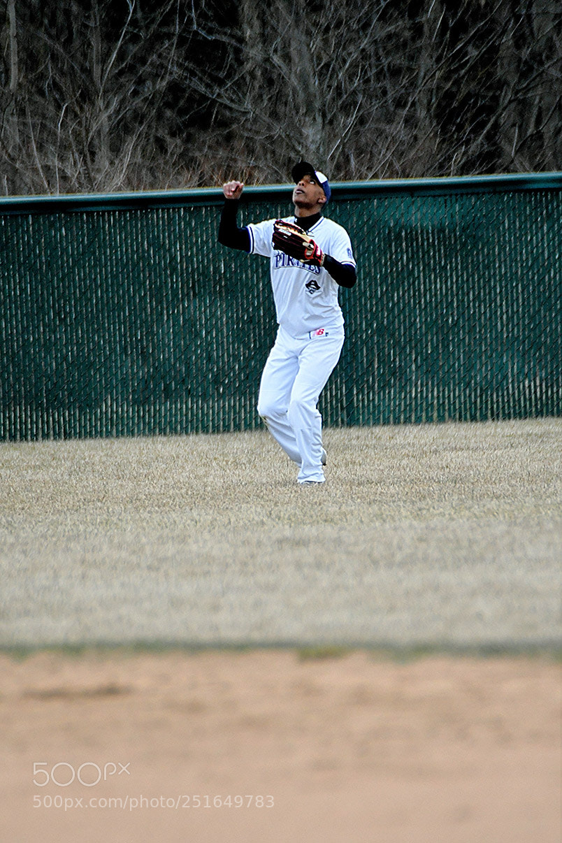 Nikon D500 sample photo. 3-26_0311.jpg photography