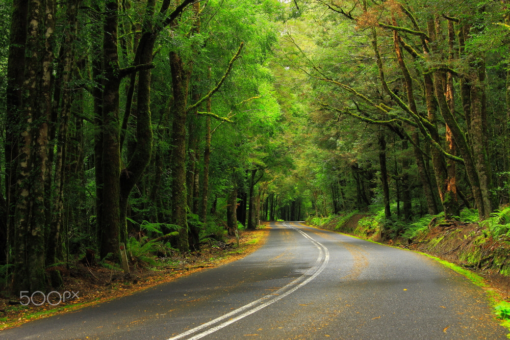 Canon EOS 60D sample photo. Hellyer road gorge #2 photography