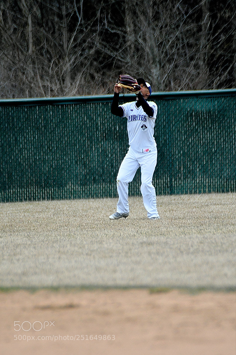 Nikon D500 sample photo. 3-26_0313.jpg photography