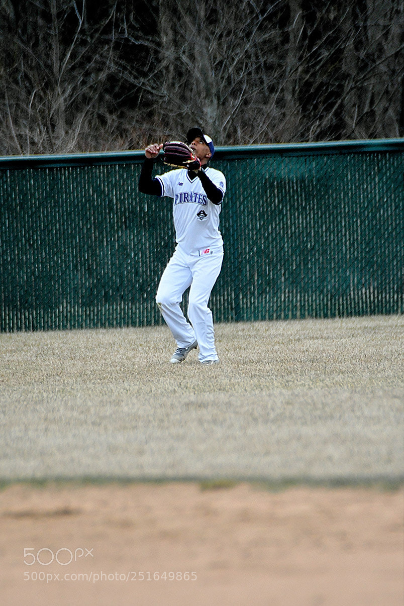 Nikon D500 sample photo. 3-26_0312.jpg photography