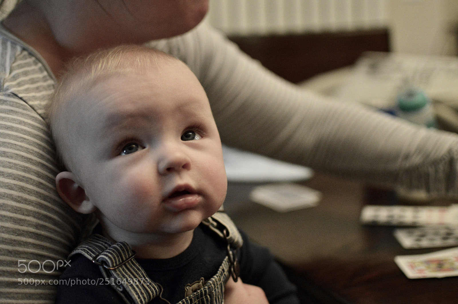 Nikon D3200 sample photo. Curious  photography