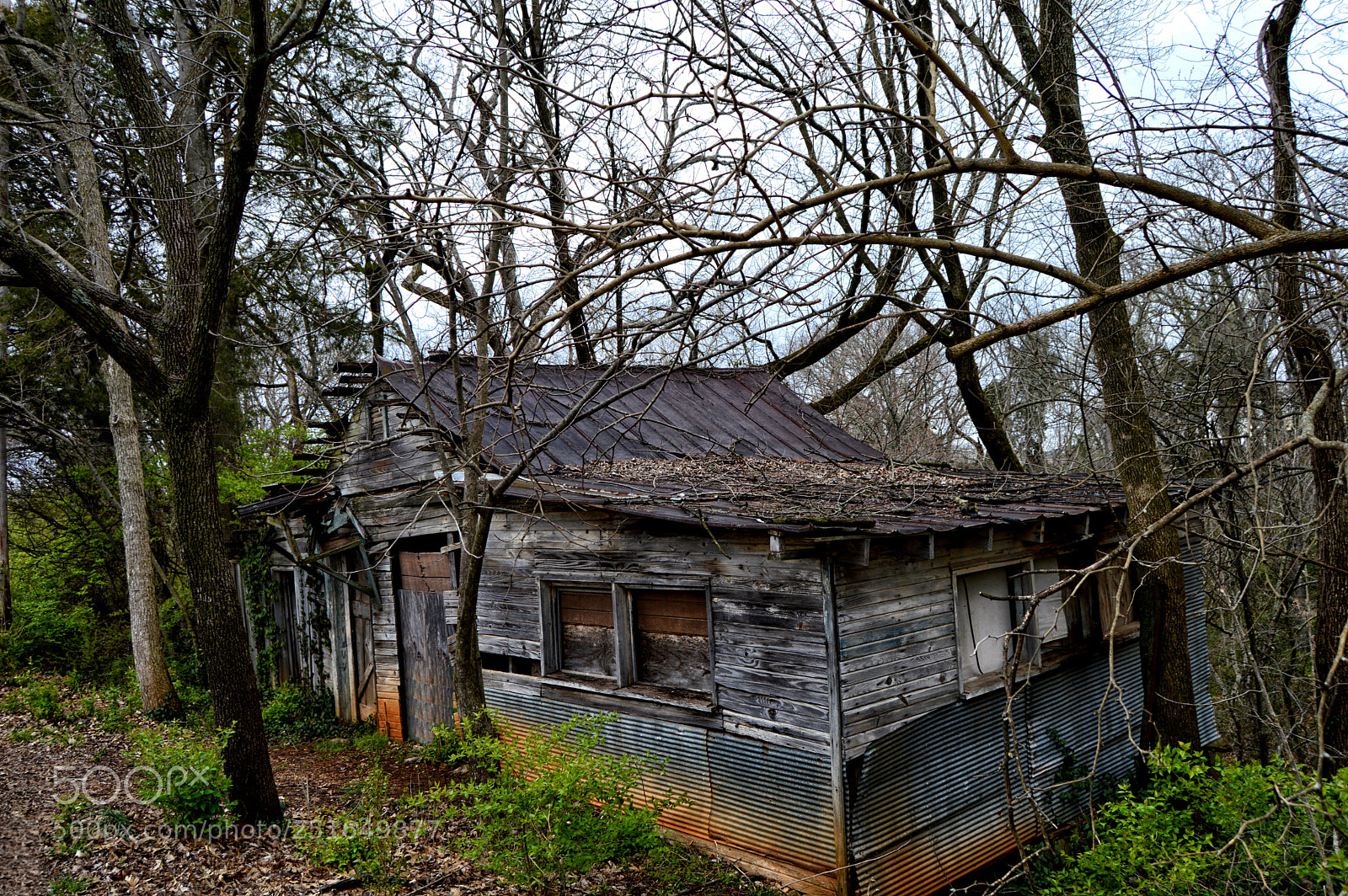 Nikon D3200 sample photo. Old house photography