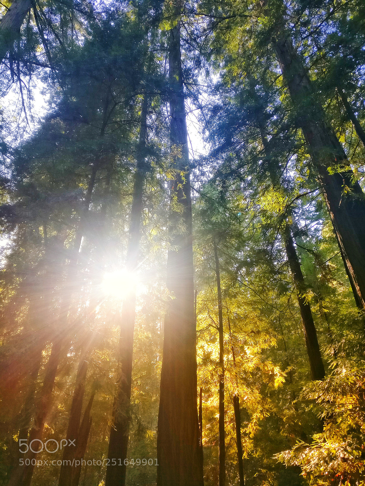 OnePlus A3003 sample photo. Untitled photography