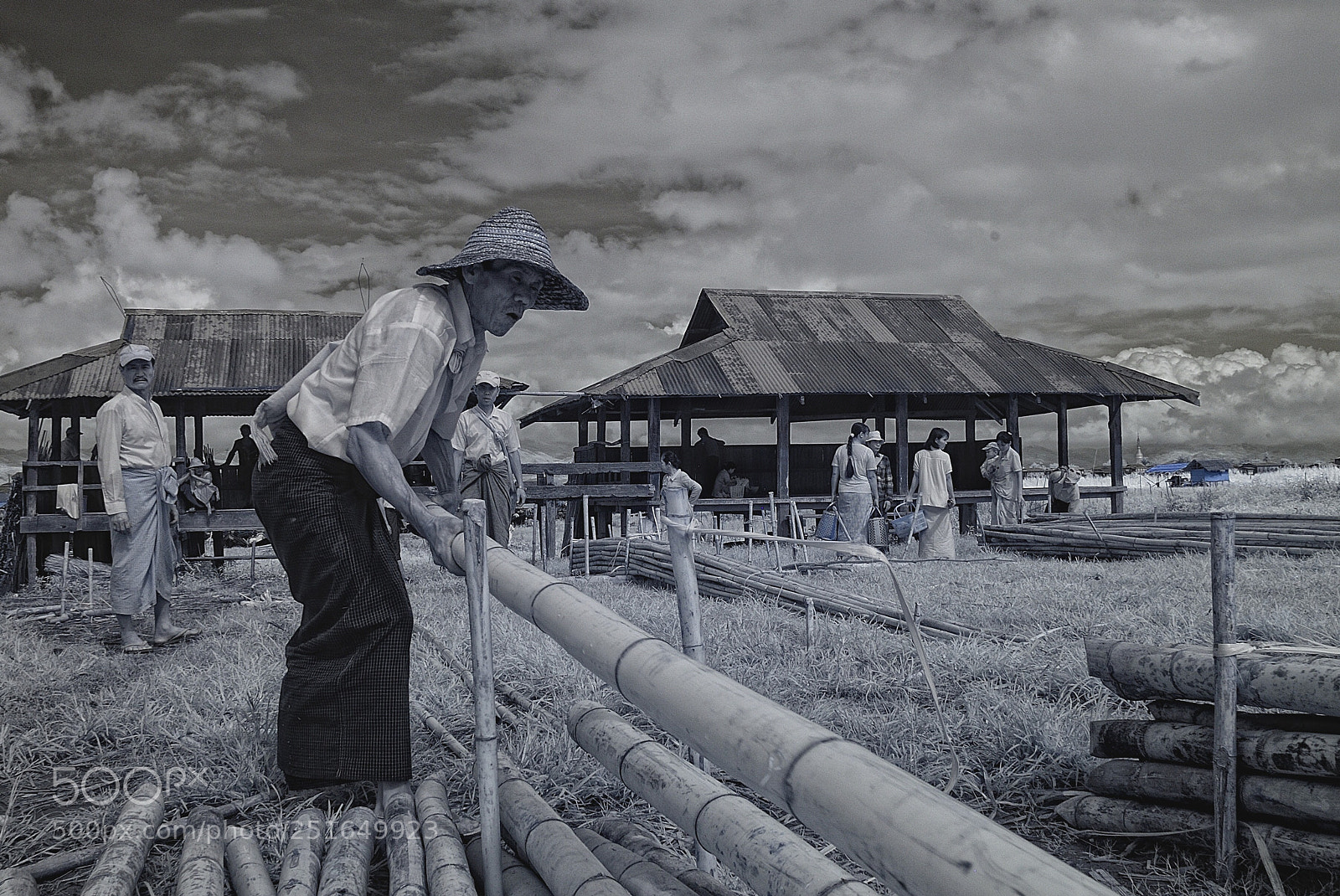Nikon D200 sample photo. Bamboo selection  photography