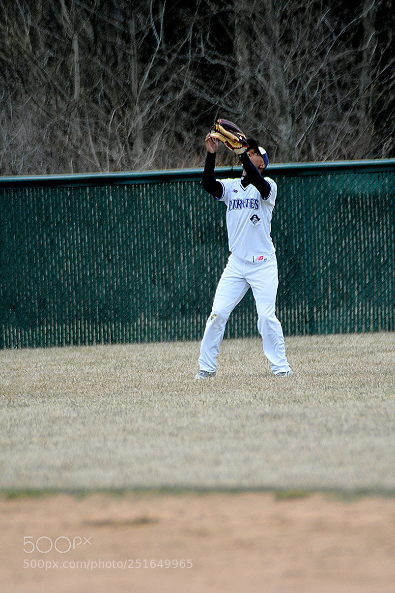 Nikon D500 sample photo. 3-26_0314.jpg photography