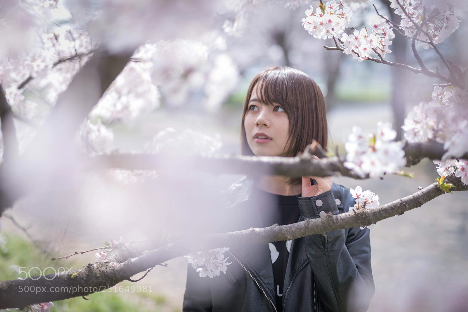 Canon EOS 5D Mark IV sample photo. Ayano photography