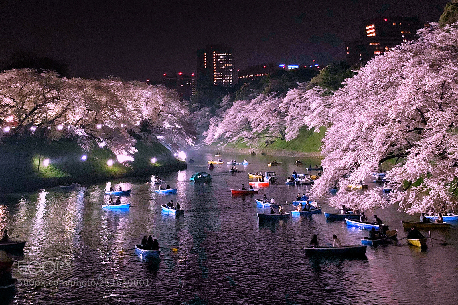 Apple iPhone X sample photo. Chidorigafuchi photography