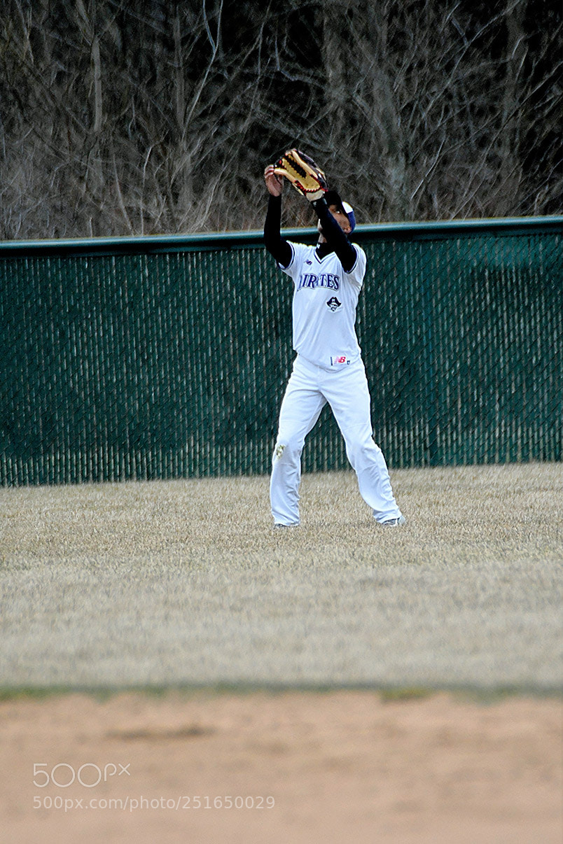 Nikon D500 sample photo. 3-26_0315.jpg photography