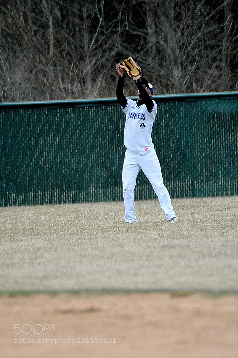 Nikon D500 sample photo. 3-26_0316.jpg photography