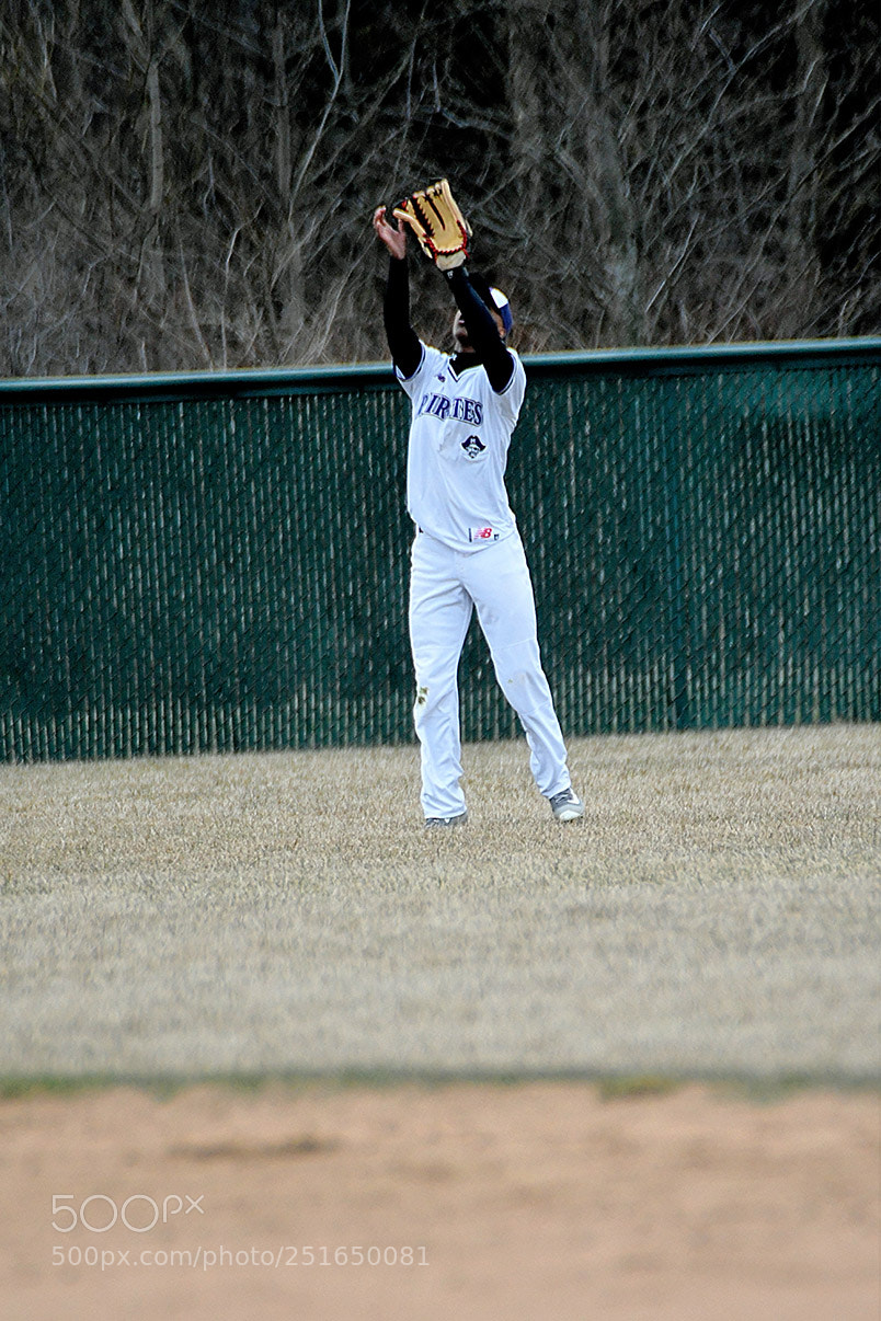 Nikon D500 sample photo. 3-26_0317.jpg photography
