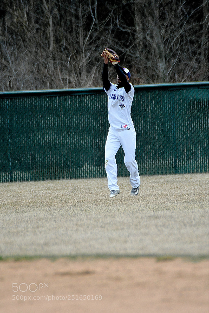 Nikon D500 sample photo. 3-26_0318.jpg photography
