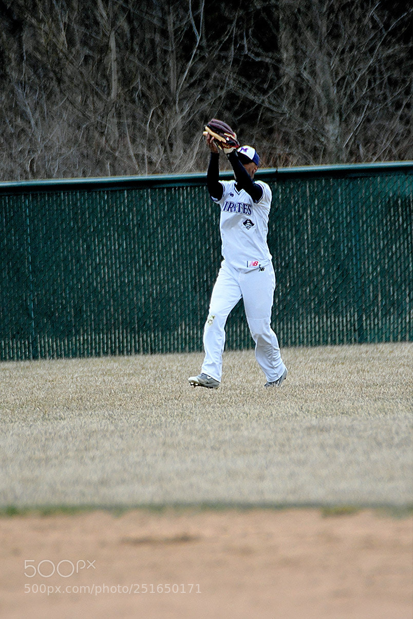 Nikon D500 sample photo. 3-26_0319.jpg photography