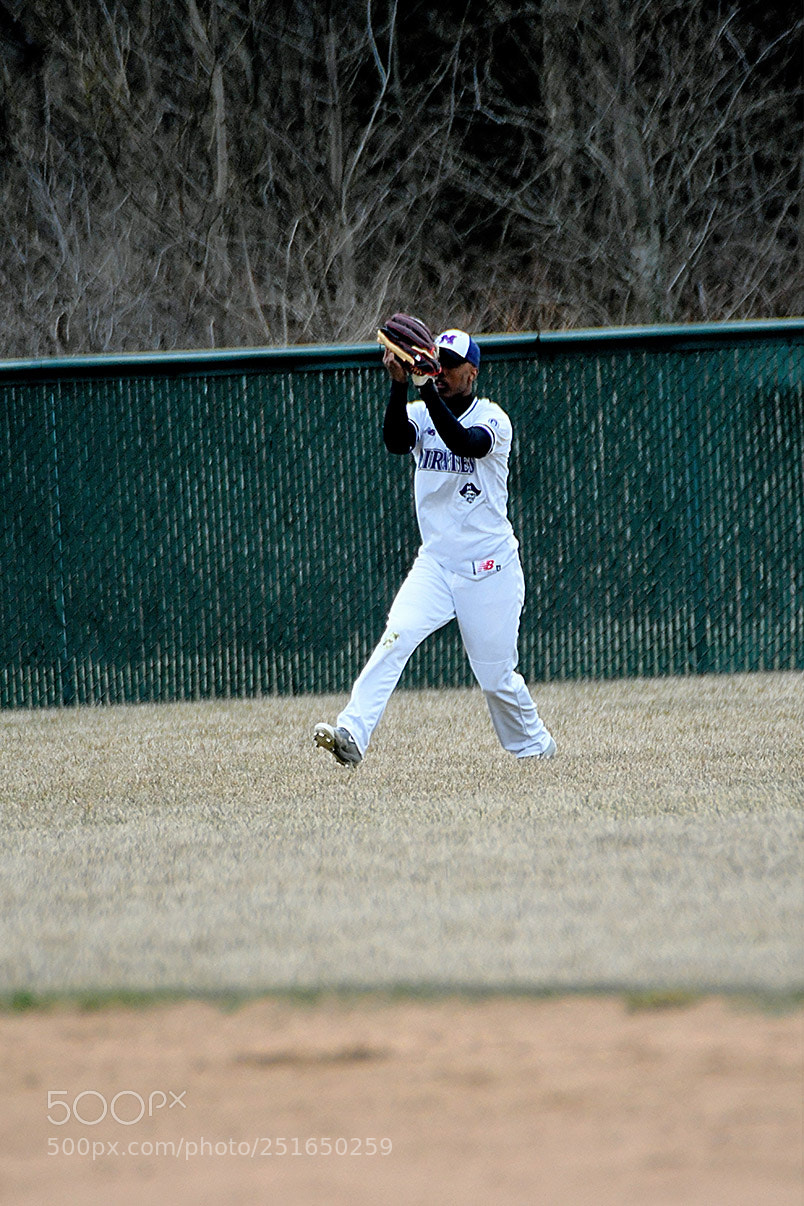 Nikon D500 sample photo. 3-26_0320.jpg photography