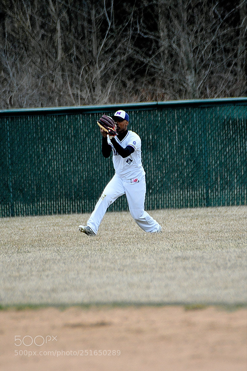 Nikon D500 sample photo. 3-26_0321.jpg photography