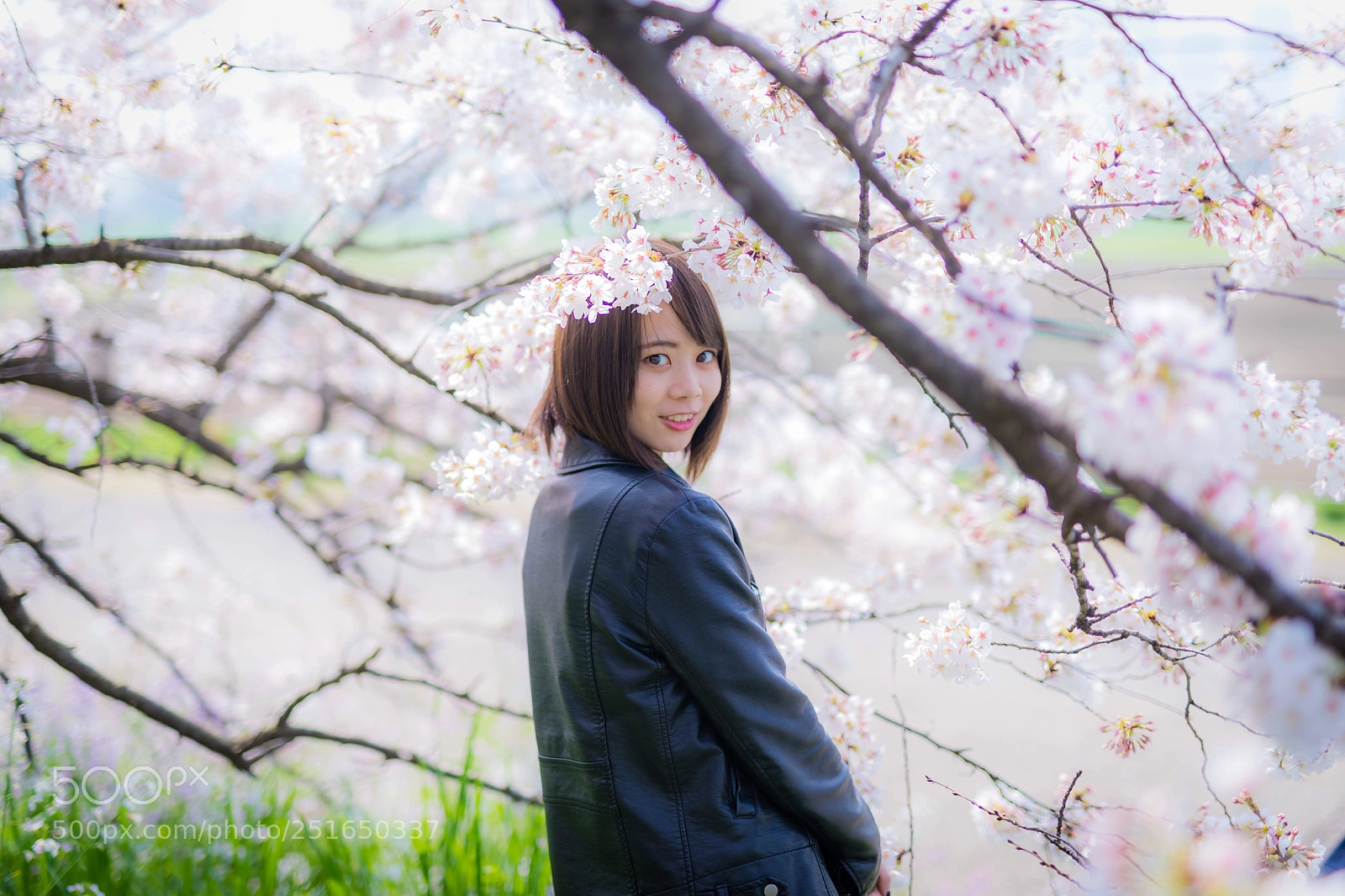 Canon EOS 5D Mark IV sample photo. Ayano photography