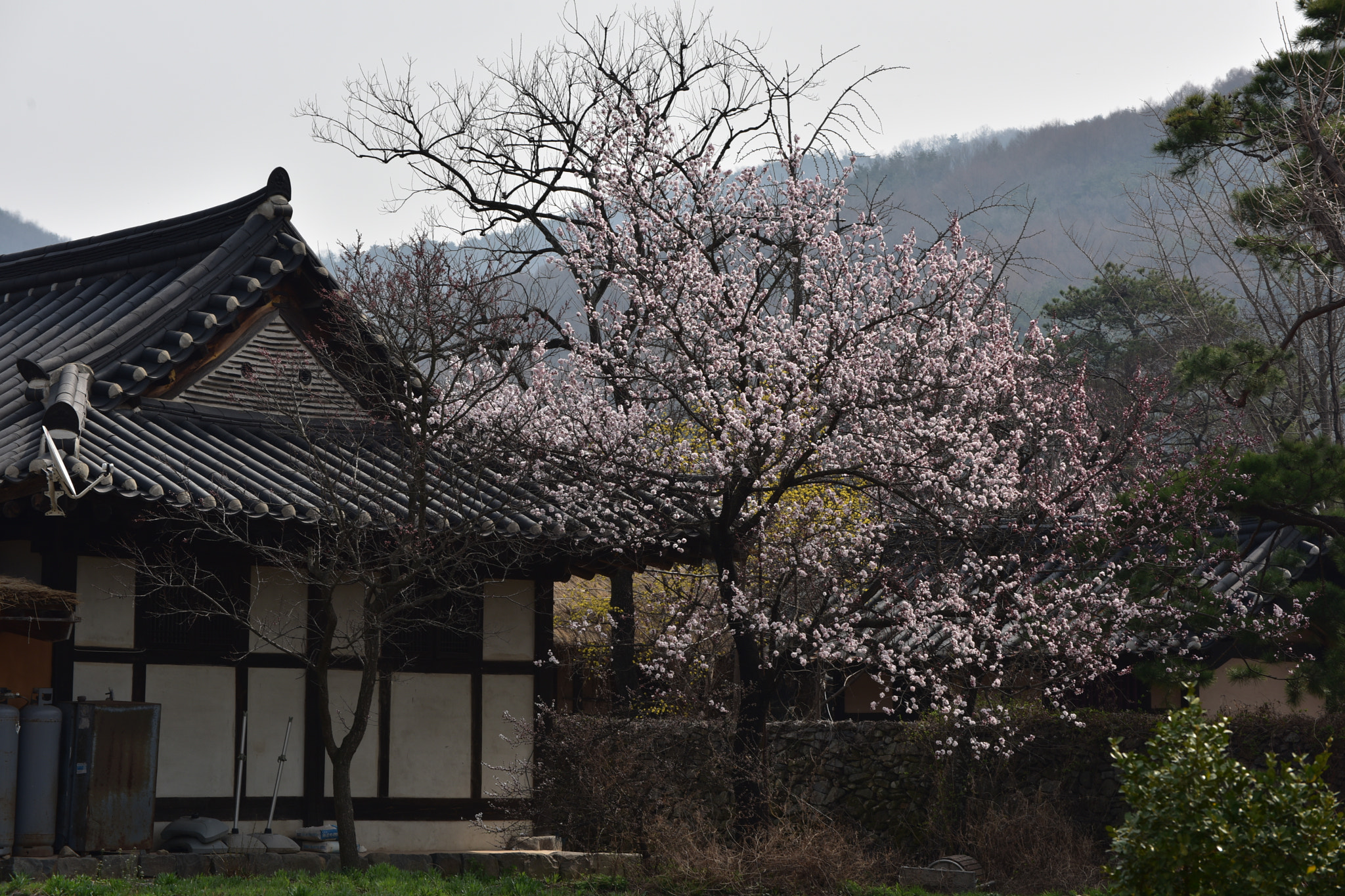 Nikon D810 sample photo