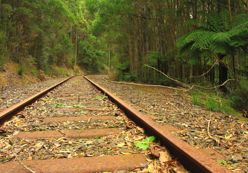 Canon EOS 60D sample photo. Western line photography