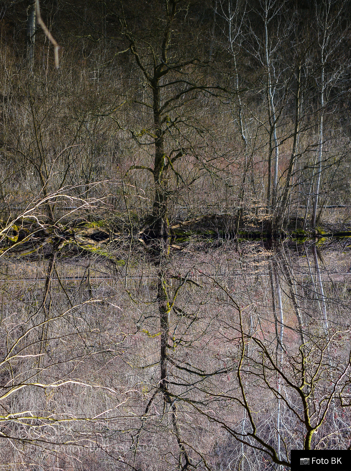 Nikon D3300 sample photo. Upside down photography