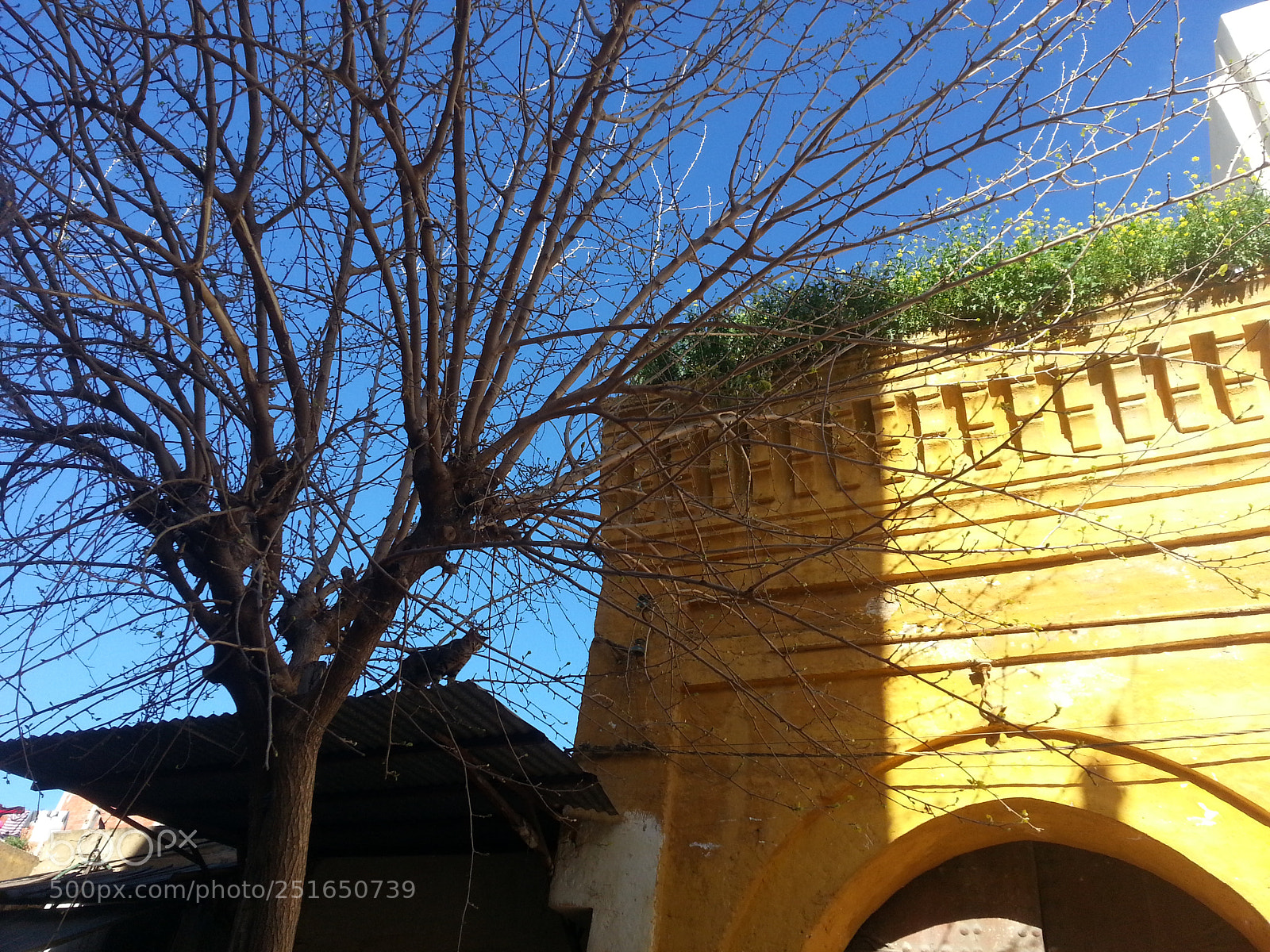 Samsung Galaxy Note2 sample photo. Untitled photography