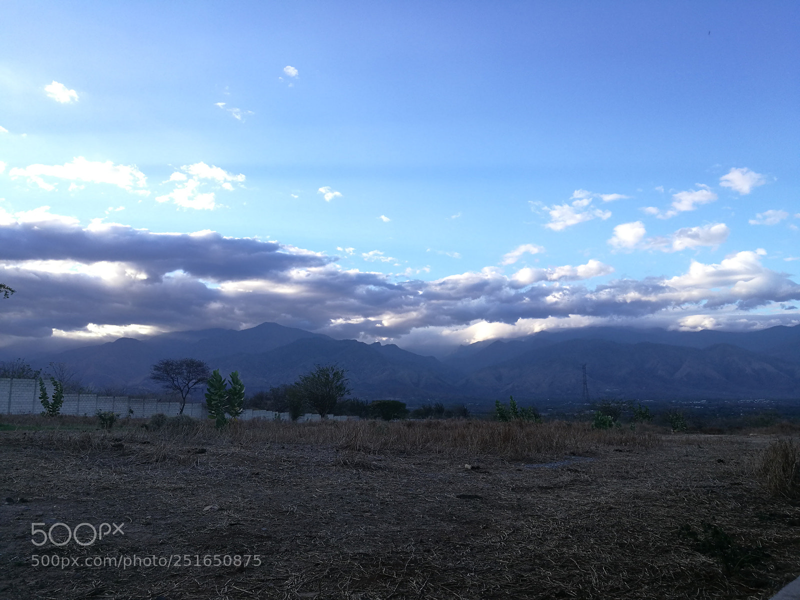 HUAWEI P9 Plus sample photo. Untitled photography