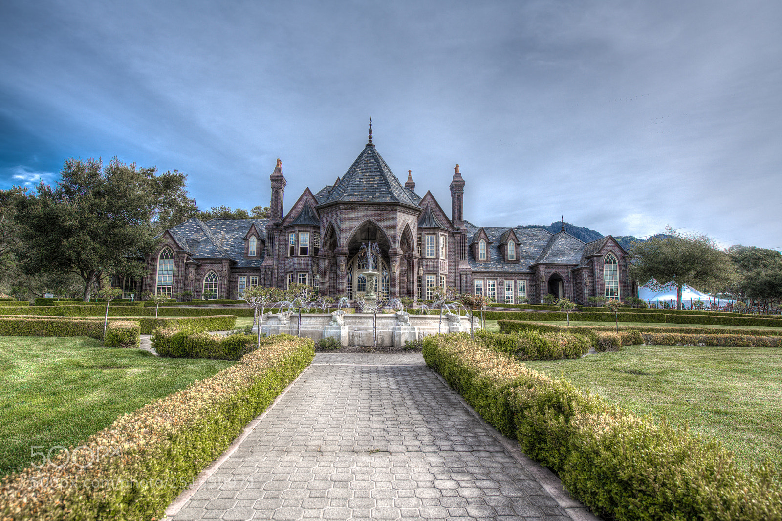 Nikon D850 sample photo. The ledson winery photography