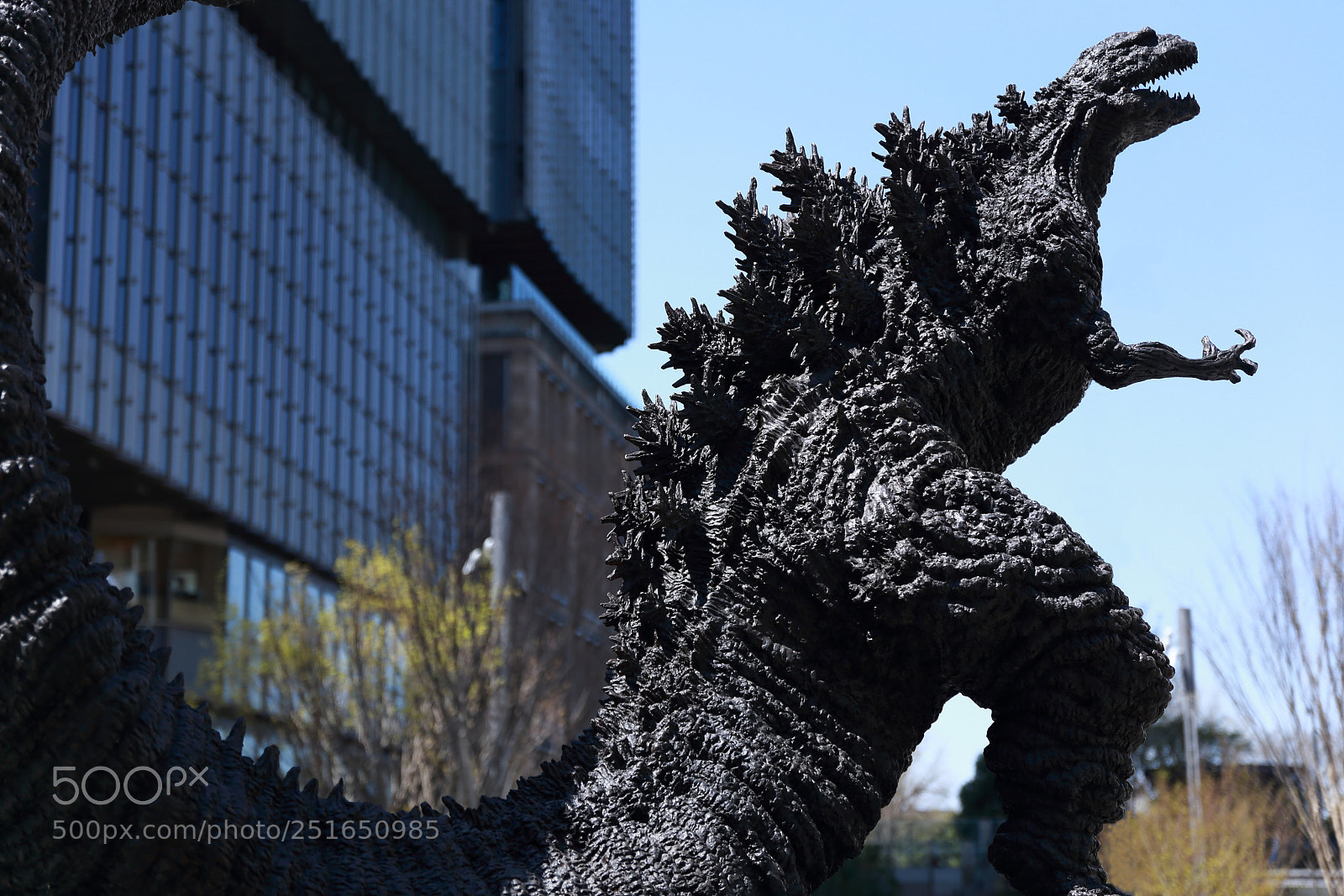 Canon EF 24-70mm F2.8L II USM sample photo. Untitled photography