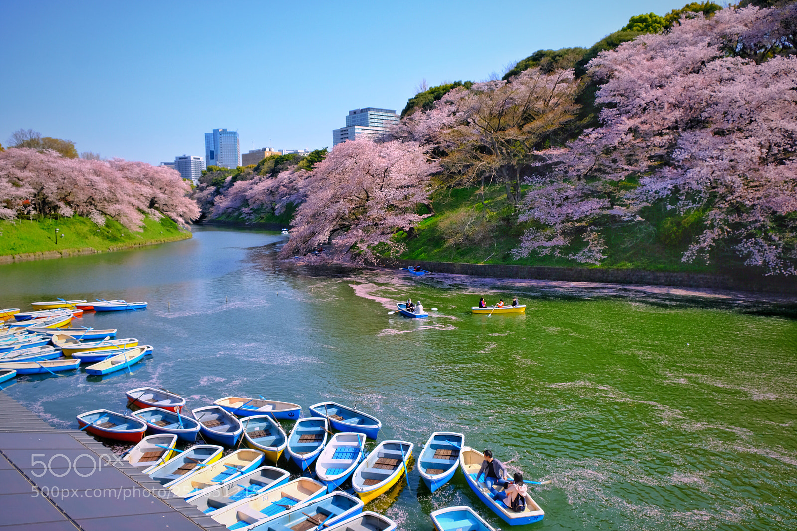 Fujifilm X-T20 sample photo. Spring day photography