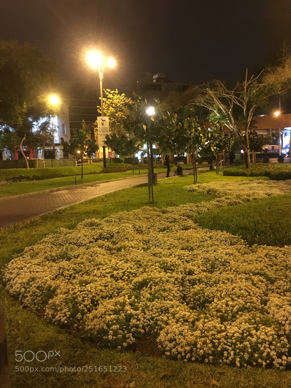 Apple iPhone 6s sample photo. Camino blanco photography