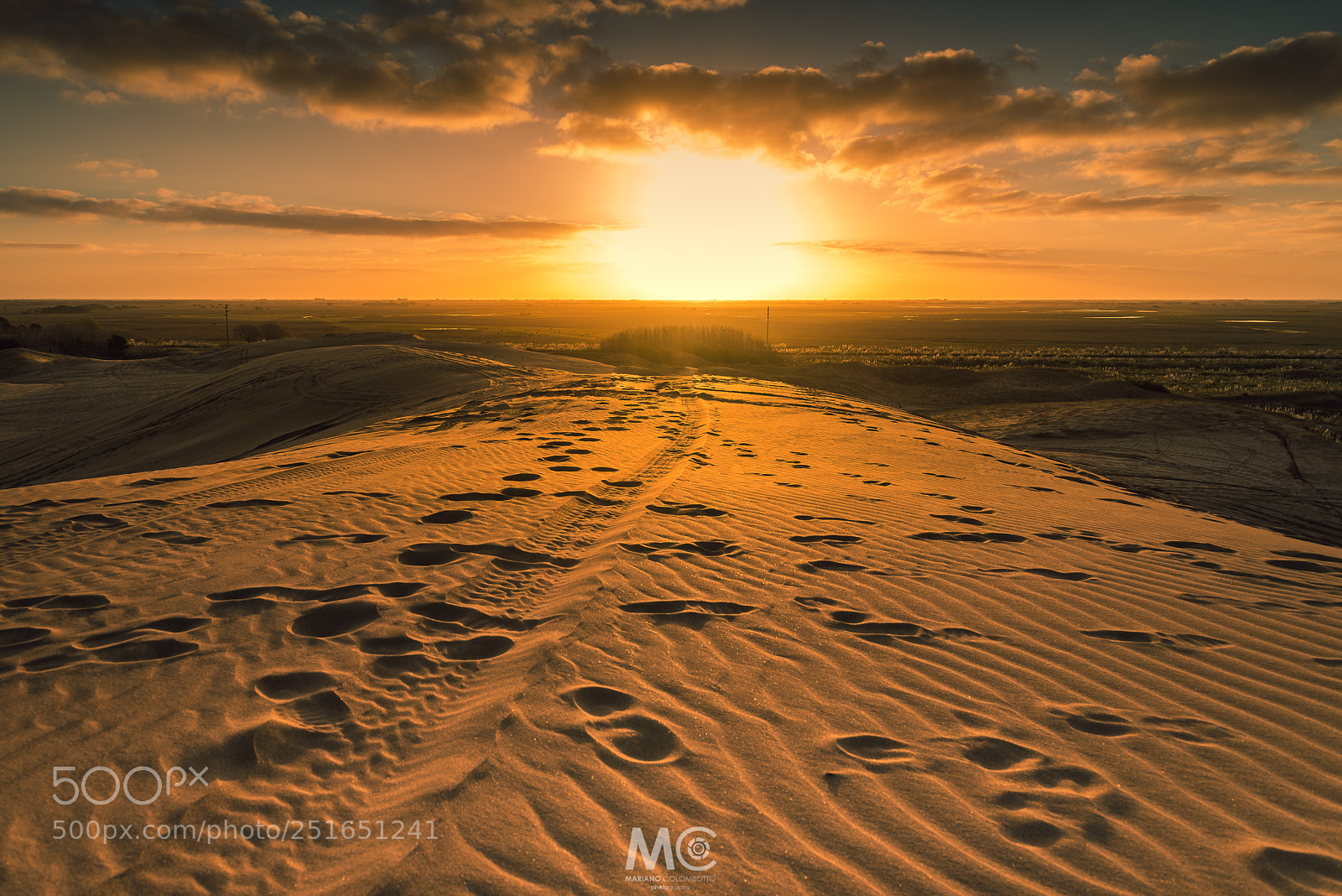 Nikon D610 sample photo. Sunset lover photography