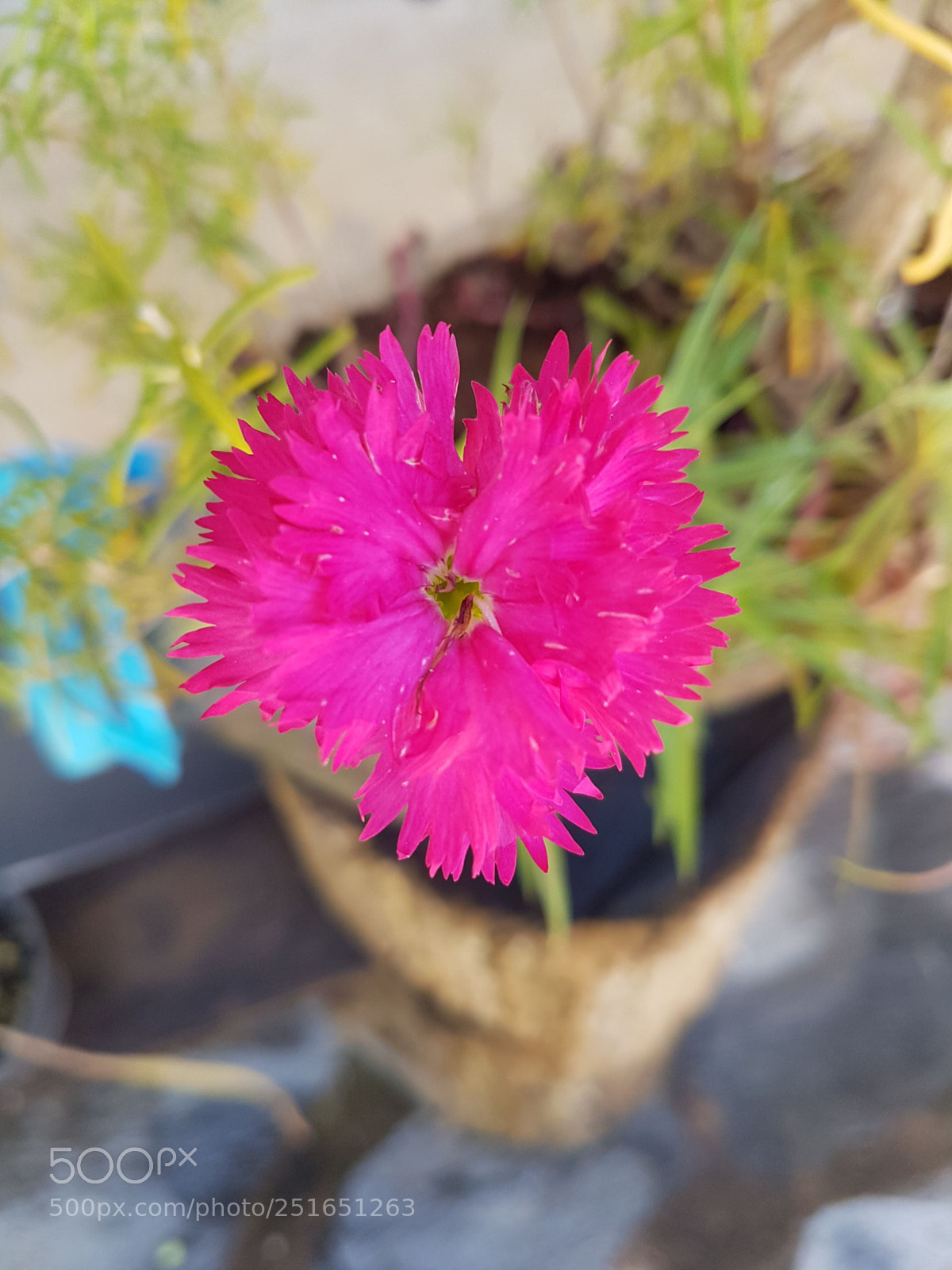 Samsung Galaxy S7 Edge sample photo. Untitled photography